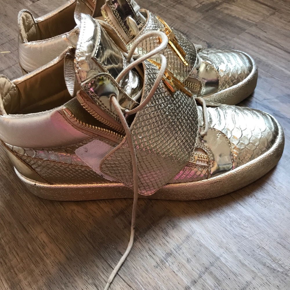 Giuseppe Zanotti - Picture 7 of 7